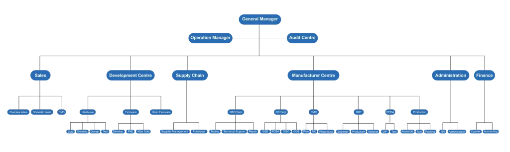 Organizational Structure